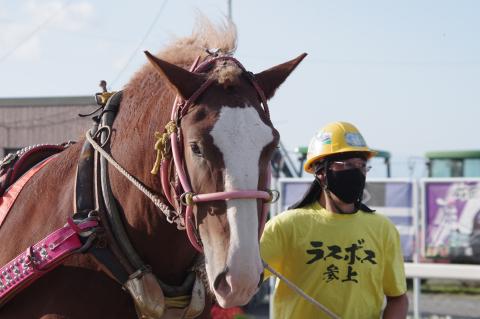チャンピオンプレス写真