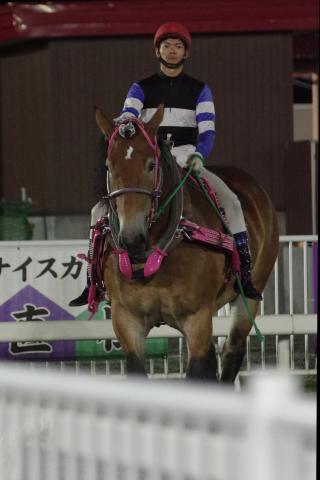 シンエイアロイ写真