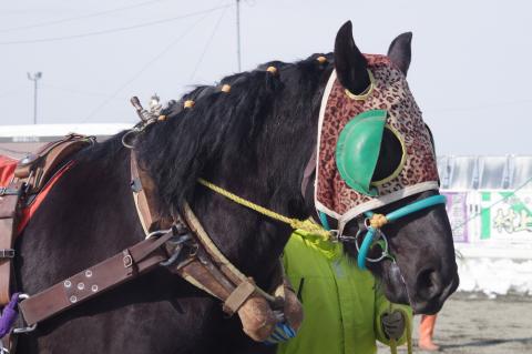 ジェイミラノ写真
