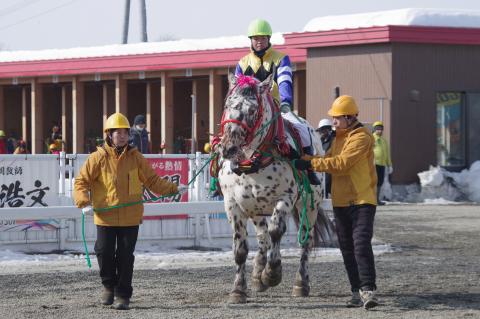 アアモンドテンクウ写真