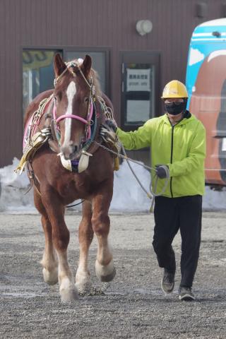 ミオリブロッサム写真