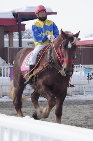 ホクセイフジ写真