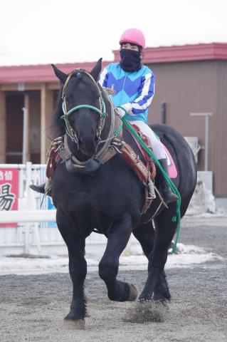 ヴィルムート写真