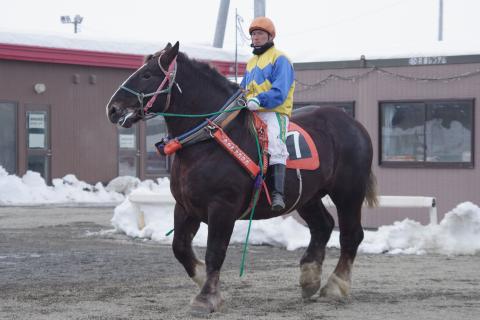 コウシュハエーカン写真