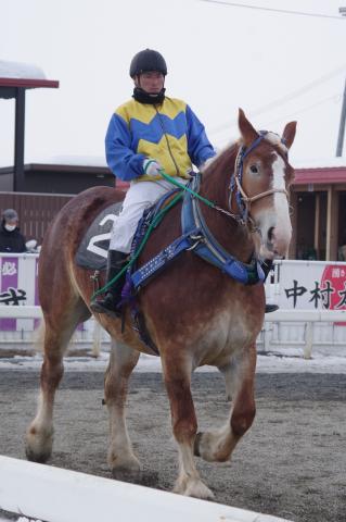 スカーレット写真