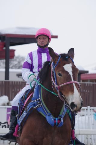 ホクショウレディー写真