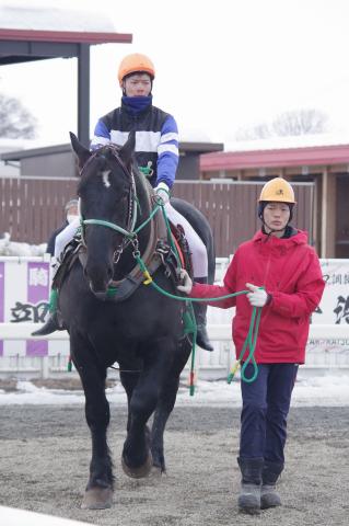 マルホントーマス写真