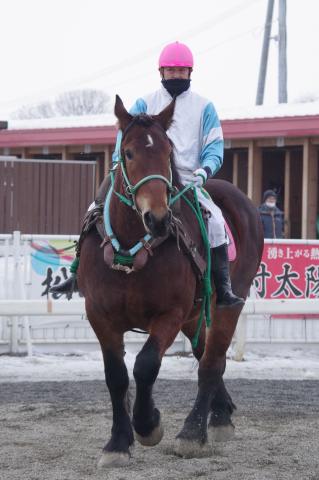 ヨシノヒメ写真