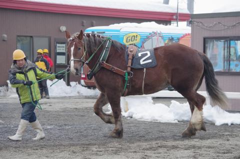 イナノホマレ写真
