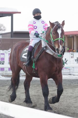 アルイテイコウ写真