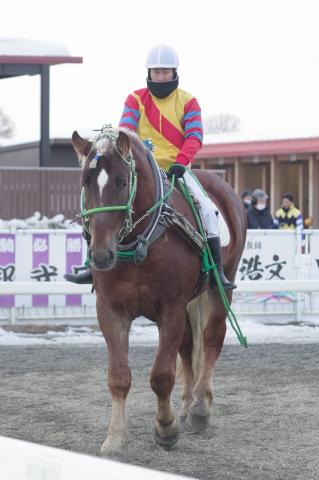 ココロノニダイメ写真