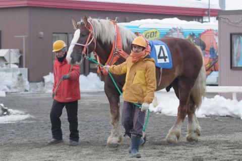 シンザンパワー写真