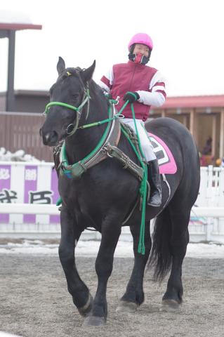 ビックコンボ写真