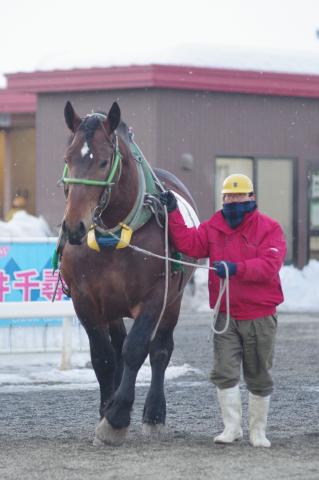 キタノミネ写真