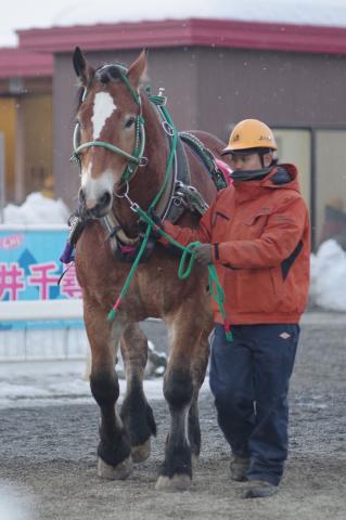 プリンセスモネ写真