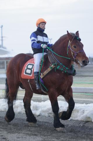 ゴールデンカイザー写真