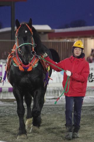 ヤマカツエース写真