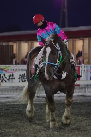 ゴールデンペガサス写真