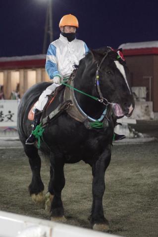 ダイリンファイター写真