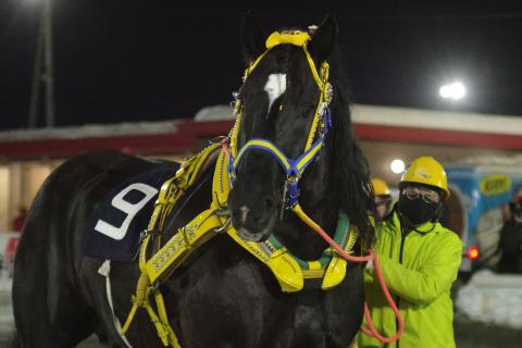 インビクタ写真