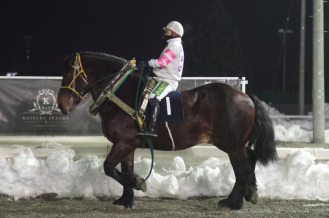 キングフェスタ写真