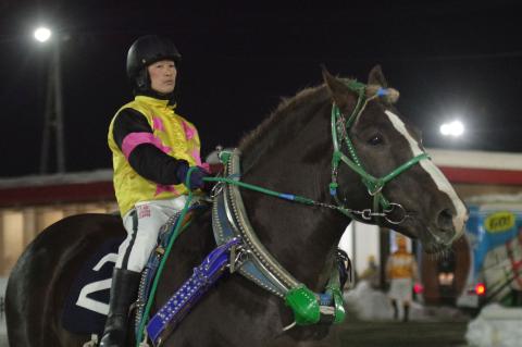 リュウセイペガサス写真