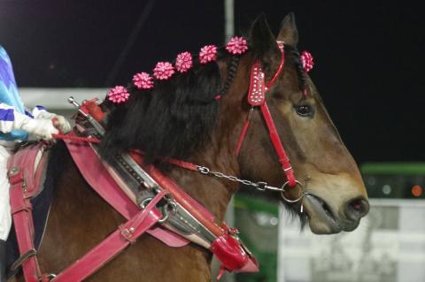 スマイルカナ写真