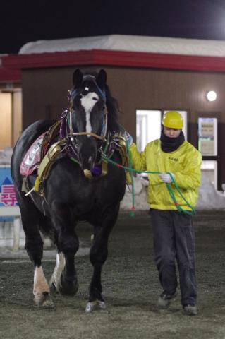ネオキングダム写真