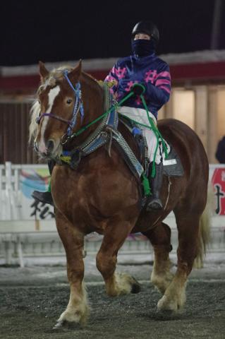 メトーフウマ写真