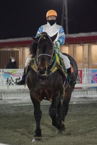 ホクショウムサシ写真