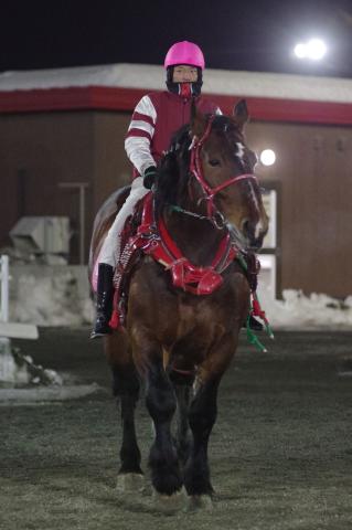 クリスタルホーク写真