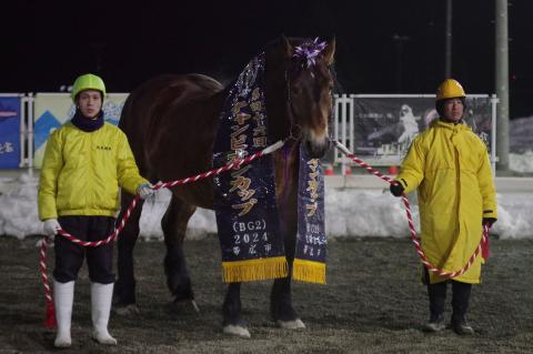 メムロボブサップ写真