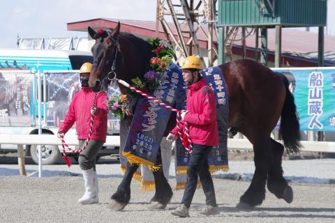 アオノブラック写真