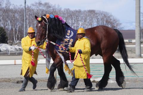 ミノルシャープ写真