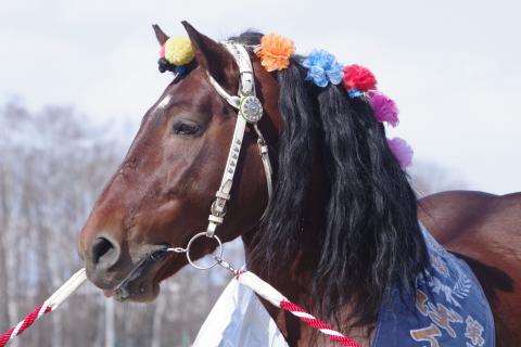 ミノルシャープ写真