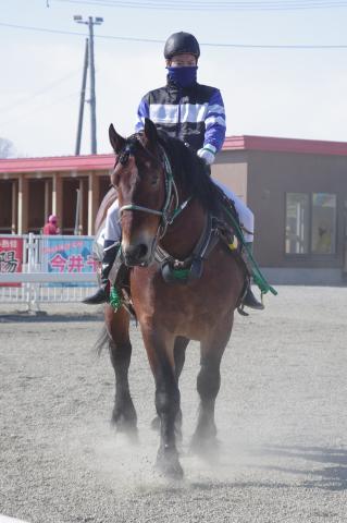 レッドフィリップ写真