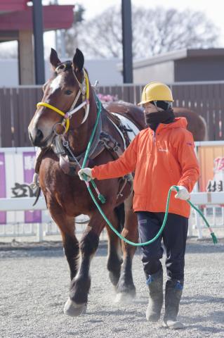 ミスオホーツク写真