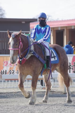 ホクセイカヨ写真