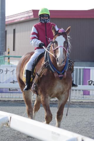 マスタークィン写真