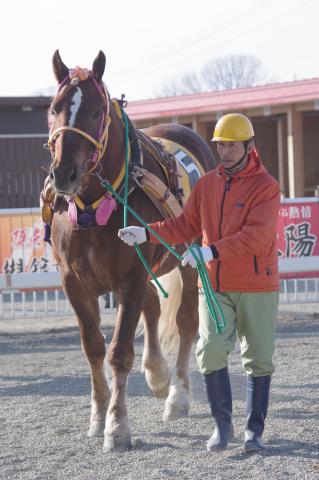 サクラジェームス写真