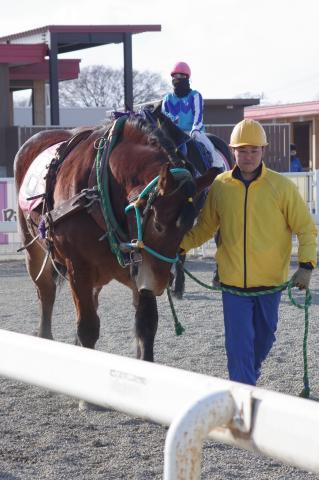 ジェイセリーヌ写真