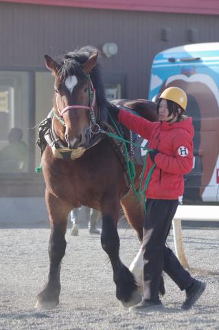 ビエイニトドケ写真