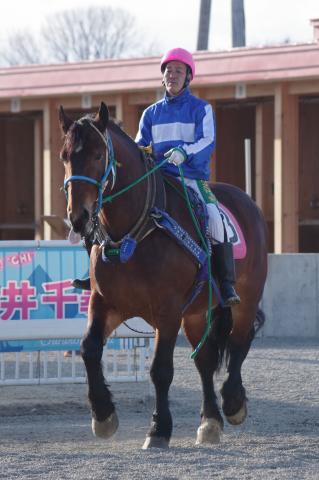 カイセエンペラー写真