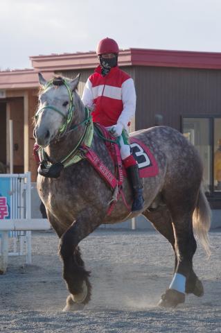 ベルンシュタイン写真