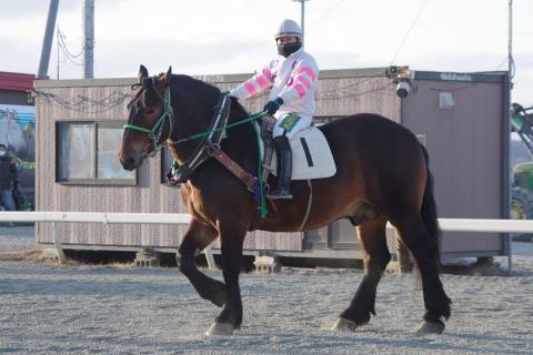 オレノトウコン写真