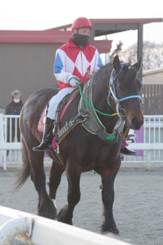 ハゴロモブライアン写真