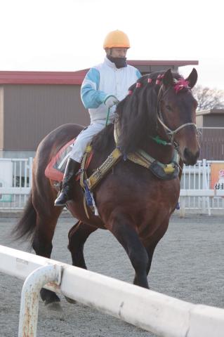 ホクショウゴールド写真