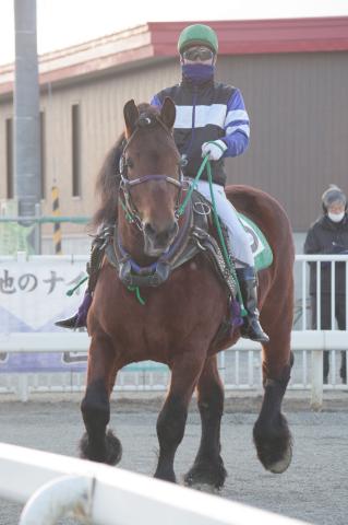 トカチリキ写真