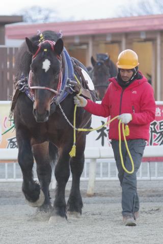 タワノブラック写真