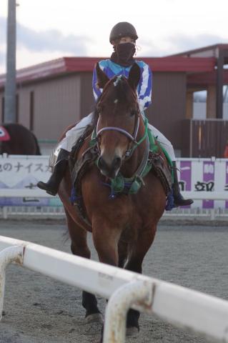 オーディン写真